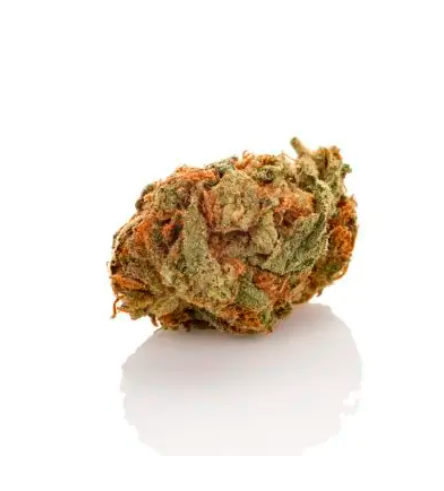 Utopia haze