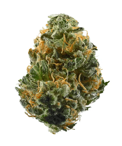Dragon Berry