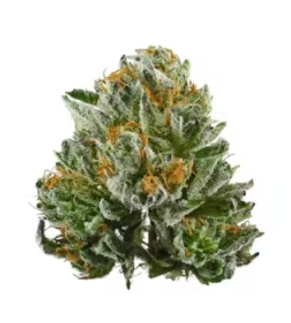 Bubba Kush