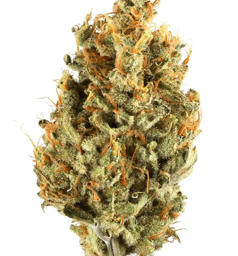 Lemon Diesel