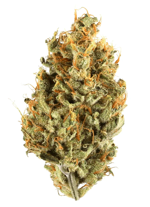 Lemon Diesel