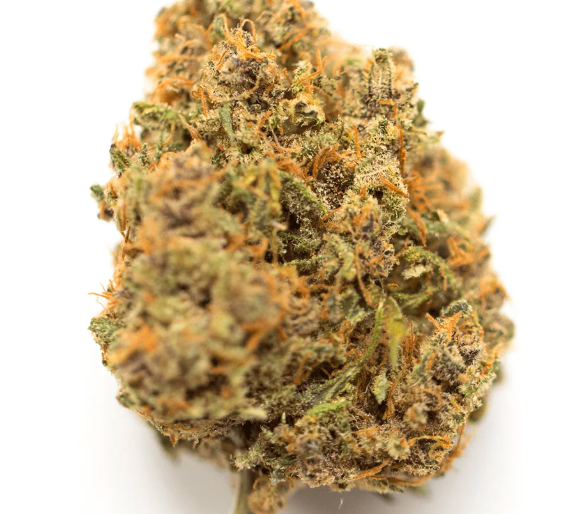 King Louie