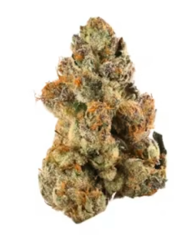 Gelato