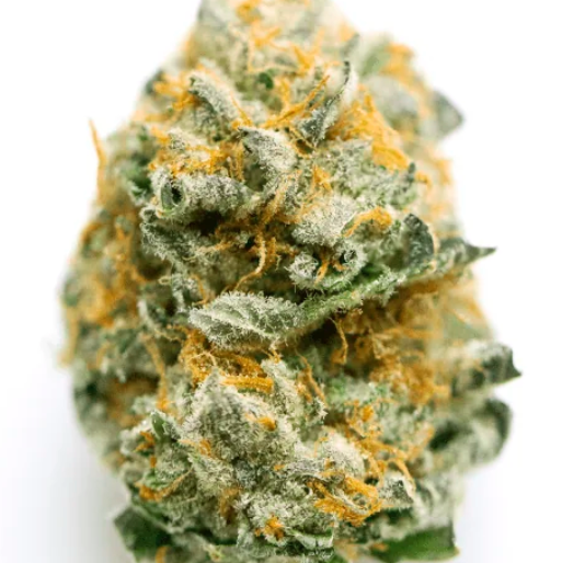 Jet Fuel Gelato