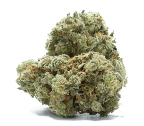 White Rhino