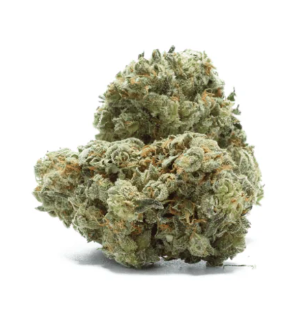 White Rhino