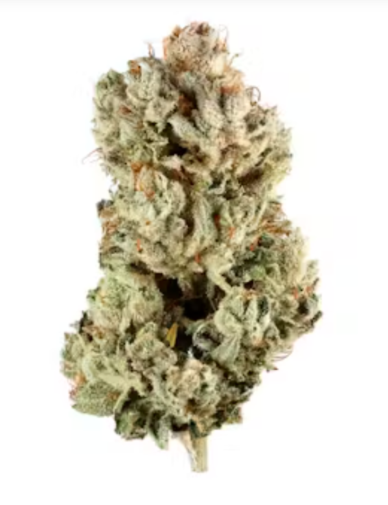 Gorilla Glue