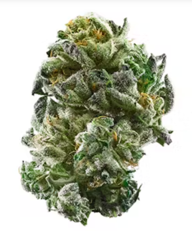 Girl Scout Cookies