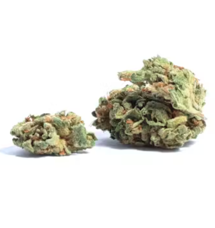 Comatose OG