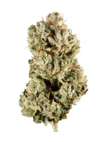 Banana Sherbet