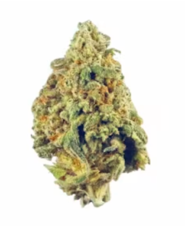 El Chapo OG