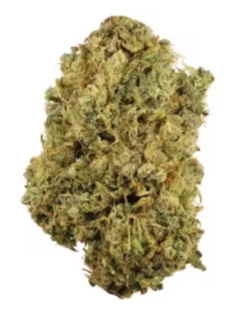Durban Poison