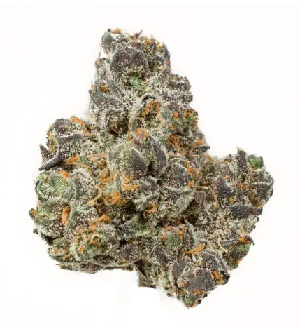 Apple Fritter