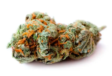 Cannaster Og
