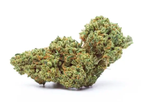 Quattro Kush