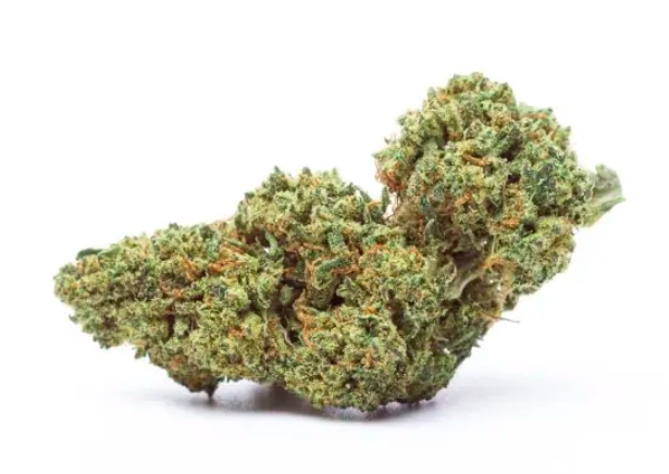 Quattro Kush